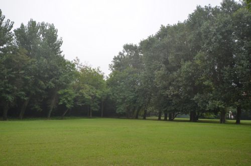 DSC 4249