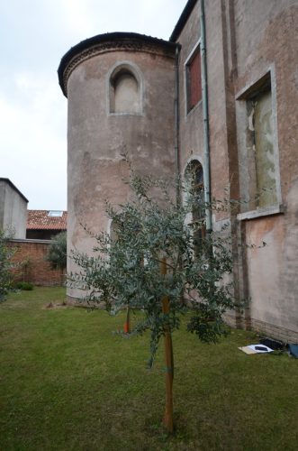DSC 4704