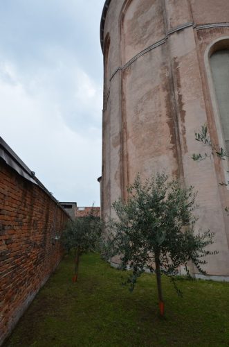 DSC 4709