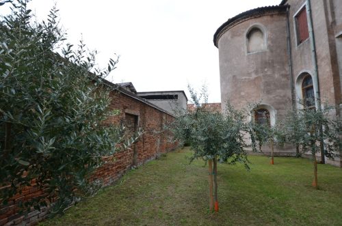 DSC 4711