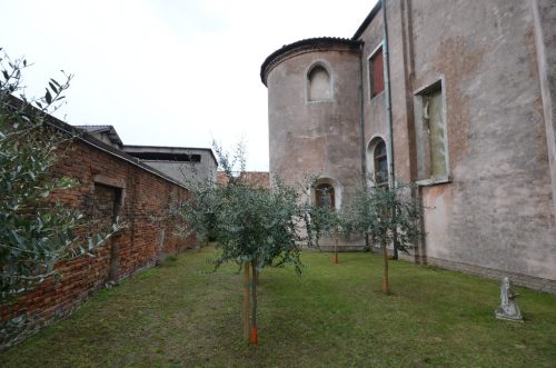 DSC 4713