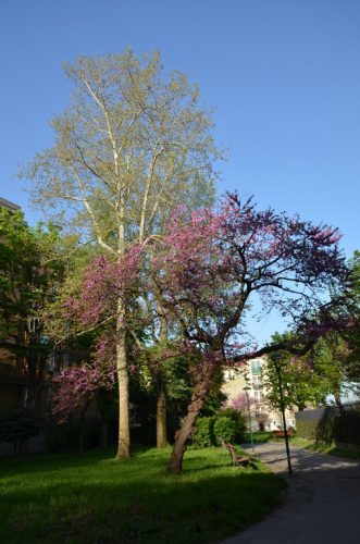 DSC 2847