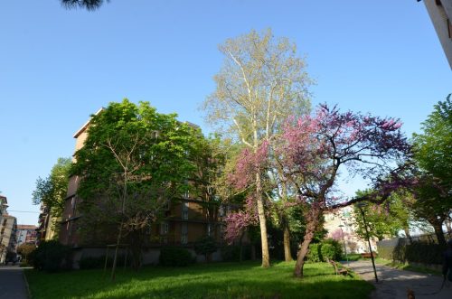 DSC 2848