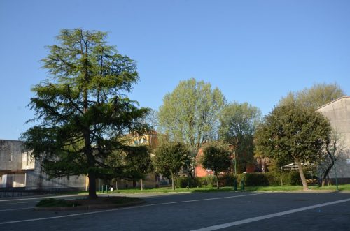 DSC 2850