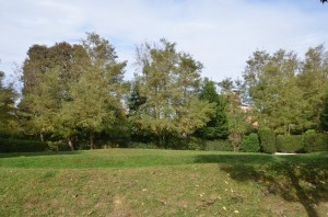 DSC 5079