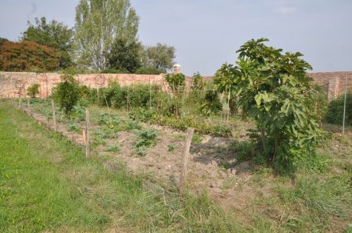 DSC 0428