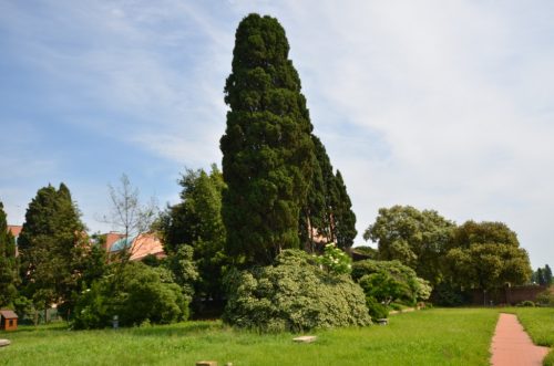 DSC 3156
