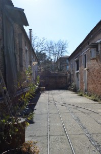 DSC 7402