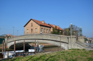 DSC 7559