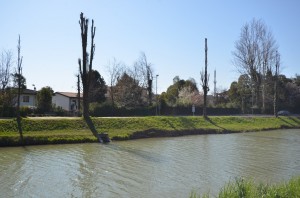 DSC 7609