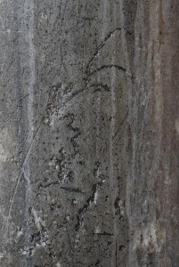 DSC 0250m