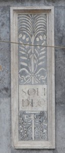 DSC 6102m