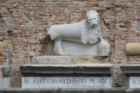 DSC 0650m