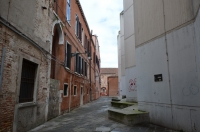 DSC 6541