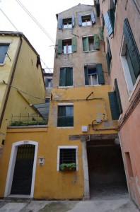 DSC 8339