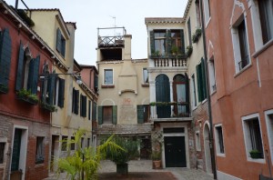 DSC 8353
