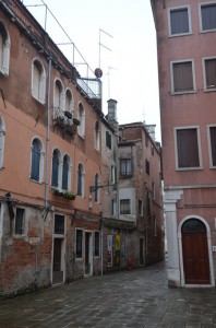 DSC 6953