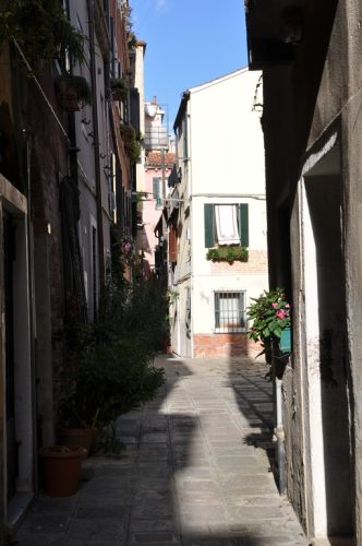 DSC 0555