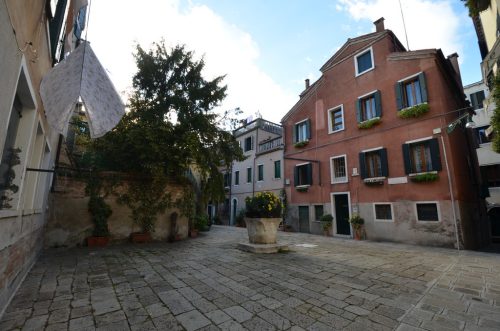 DSC 8004