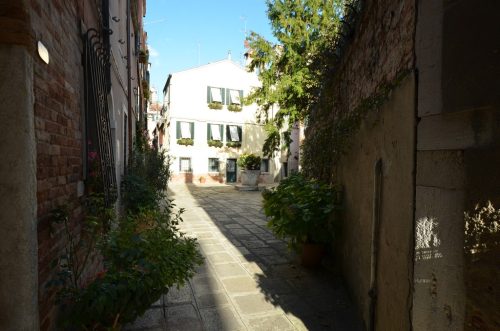 DSC 8008