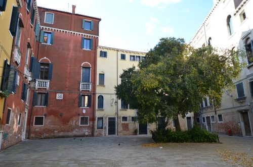 DSC 7989