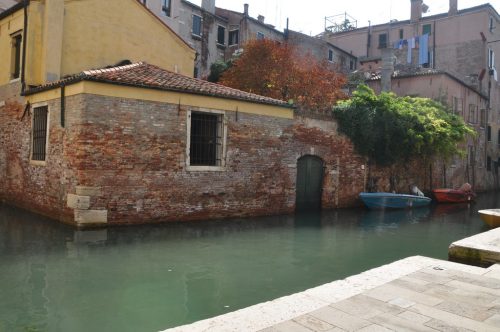 DSC 0591
