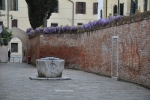 DSC 0041