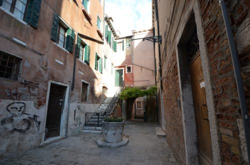 DSC 7901