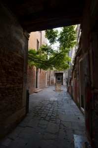 DSC 7904