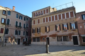 DSC 6155