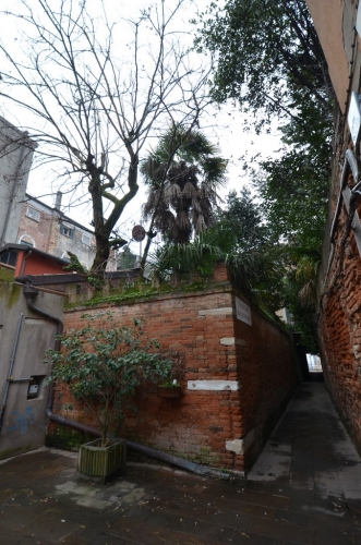 DSC 0534