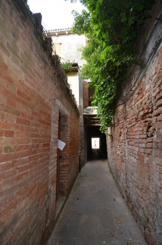 DSC 2412