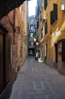 DSC 0921