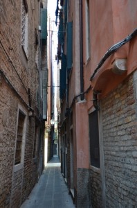 DSC 3520