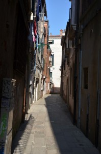 DSC 8915