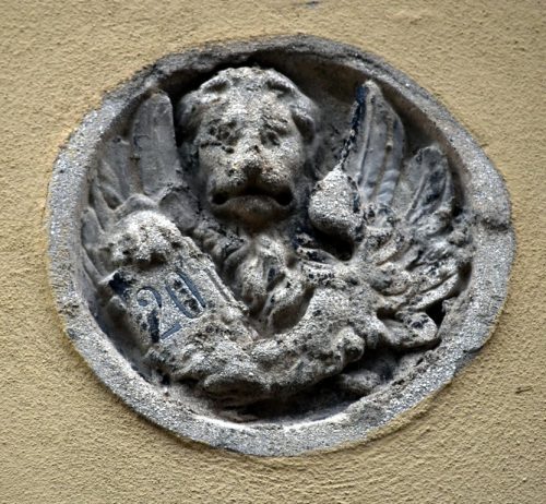 DSC 1118