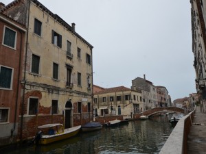 DSC 5135