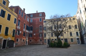 DSC 6157