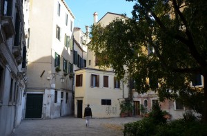 DSC 7992