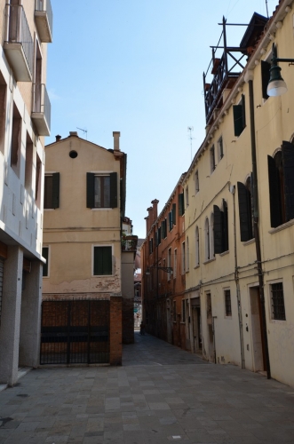 DSC 2203