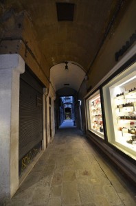 DSC 3447