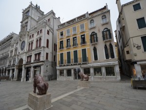 DSC 5082