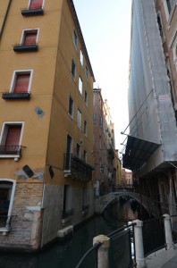 DSC 4555