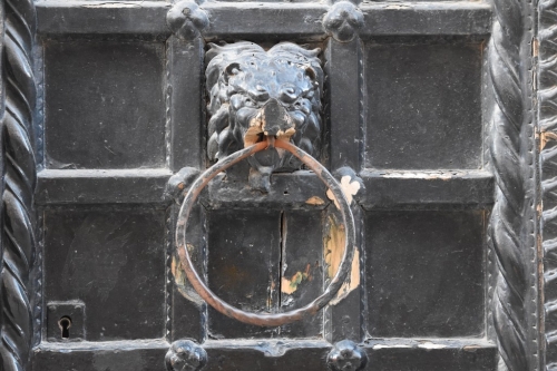6 DSC 0054