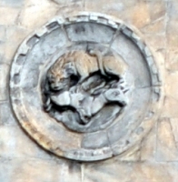 6 DSC 0145m22