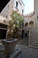 DSC 7295