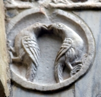 DSC 0264m2