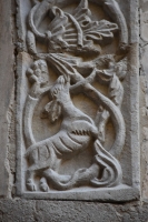 DSC 0464m