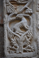 DSC 0467m