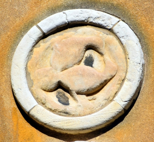 DSC 0090m